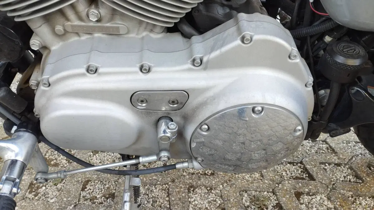 Harley-Davidson 883 Custom (2008 - 12) - XL 883C (6)