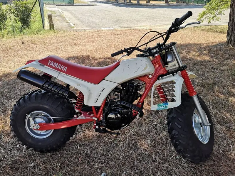 Yamaha BW 200 BIG WHEEL (2)