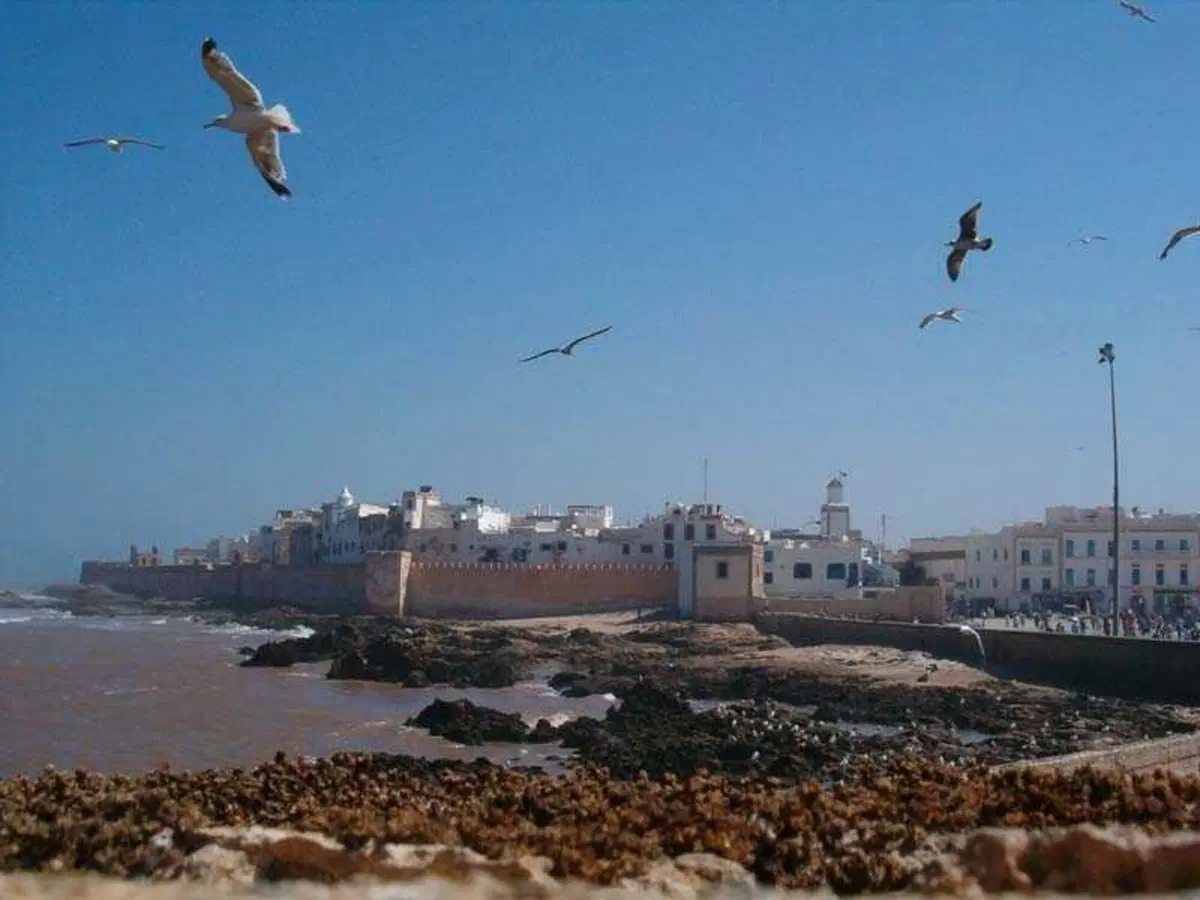 I viaggi dei lettori: da Pavia al Marocco