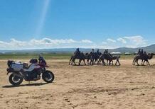 Leg in bag. Ep.5: da Ulaanbaatar alla Mongolia centrale