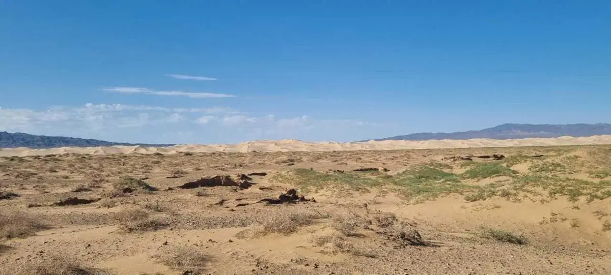 Leg in bag. Ep.5: da Ulaanbaatar alla Mongolia centrale (11)