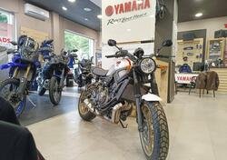Yamaha XSR 700 XTribute (2021) nuova