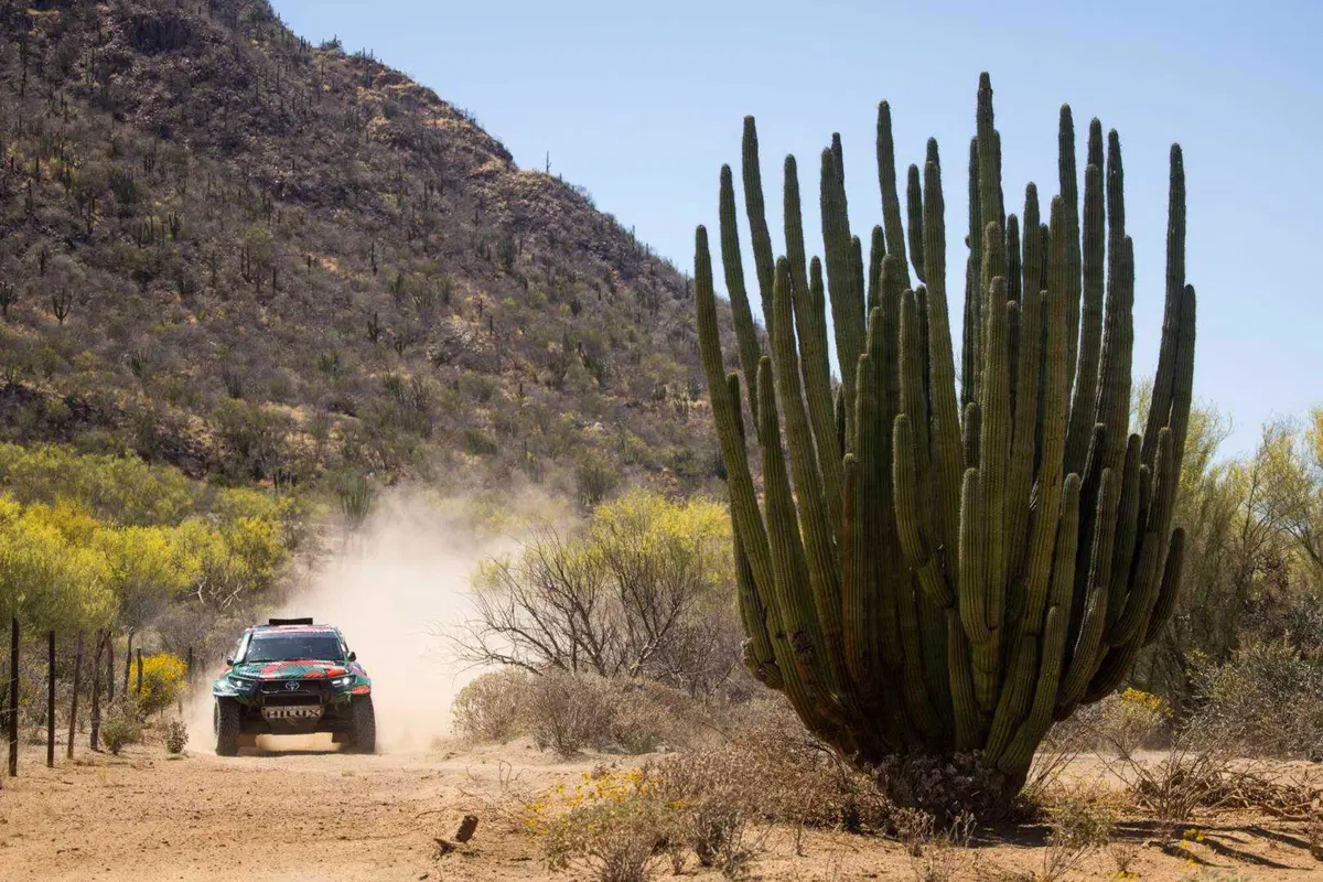 Rally-Raid. Ruta 40. Schareina, Honda, e Al Attiyah, Toyota, i vincitori!