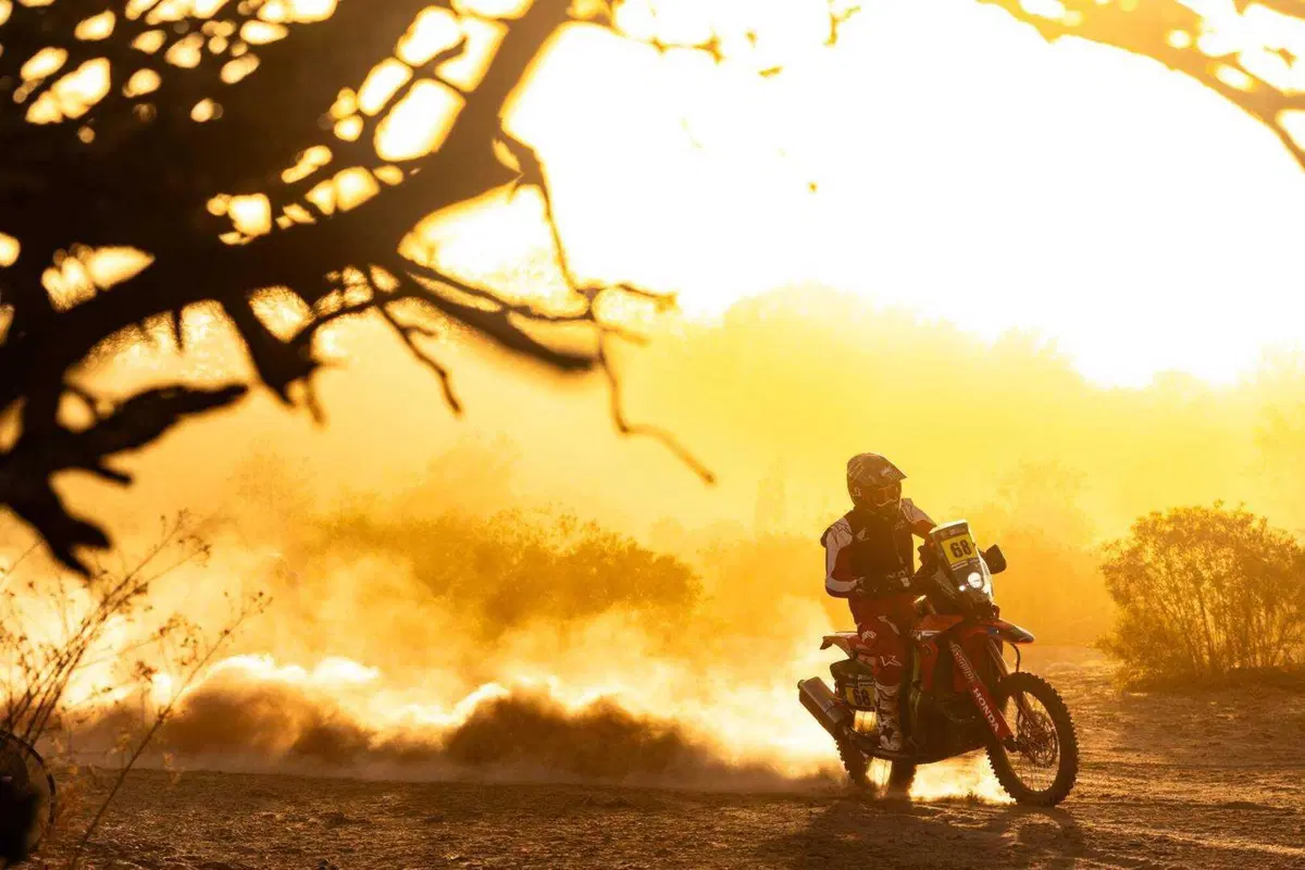 Rally-Raid. Ruta 40. Schareina, Honda, e Al Attiyah, Toyota, i vincitori! (2)
