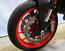 Ducati Monster 937 + (2021 - 24) (16)