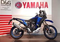 Yamaha Ténéré 700 World Raid (2022 - 24) usata