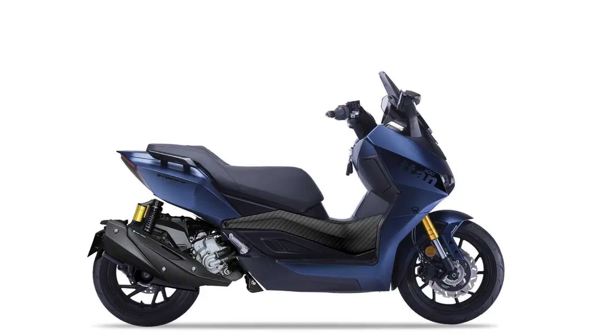 Wottan Motor Storm-R 300 (2023 - 25)