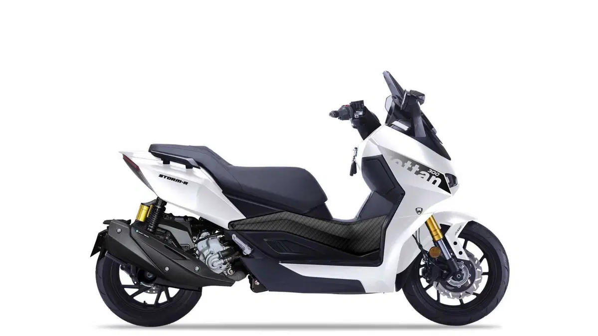 Wottan Motor Storm R-300 Storm-R 300 (2023 - 25) (2)
