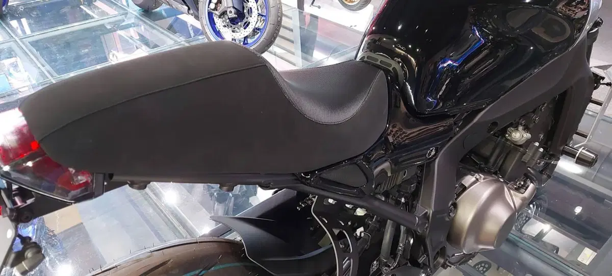 Yamaha XSR 900 (2022 - 24) (16)