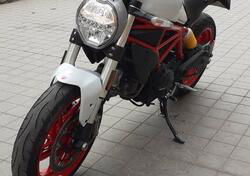 Ducati Monster 797 (2019 - 20) usata