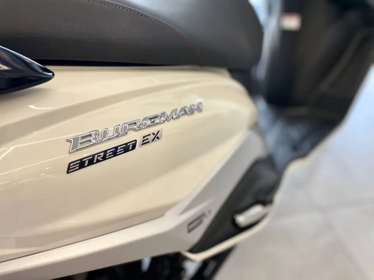 Suzuki Burgman Street 125 Executive (2023 - 26) (7)