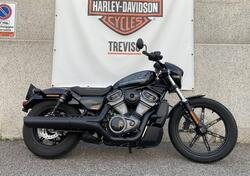 Harley-Davidson Nightster (2023 - 24) usata
