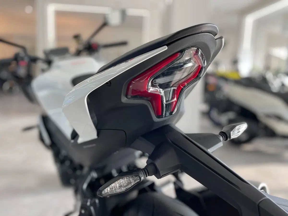 CFMOTO 450NK (2023 - 26) (9)