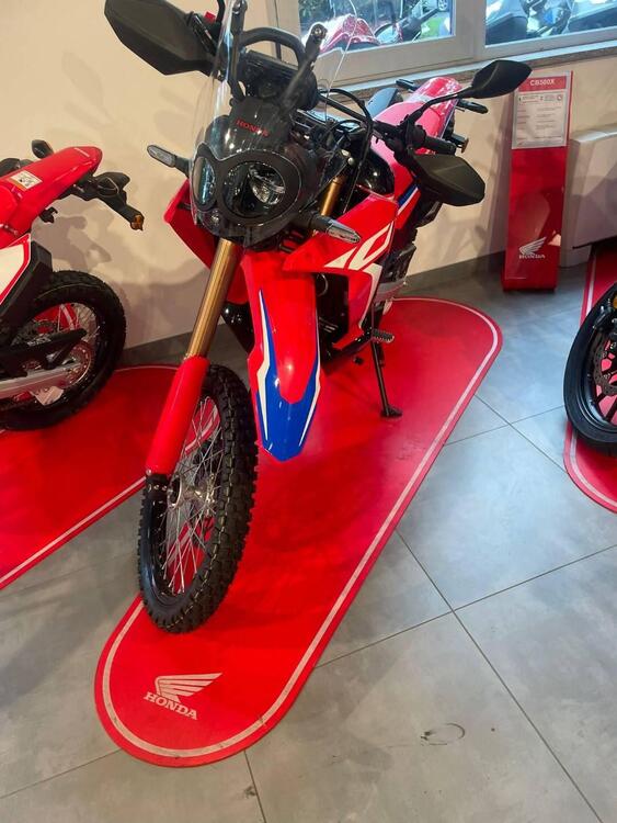 Honda CRF 300 Rally (2021 - 24) (3)