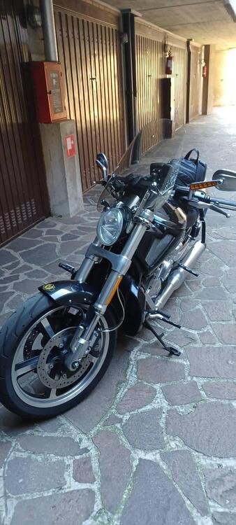 Harley-Davidson 1250 V-Rod Muscle (2009 - 17) - VRSCF (2)