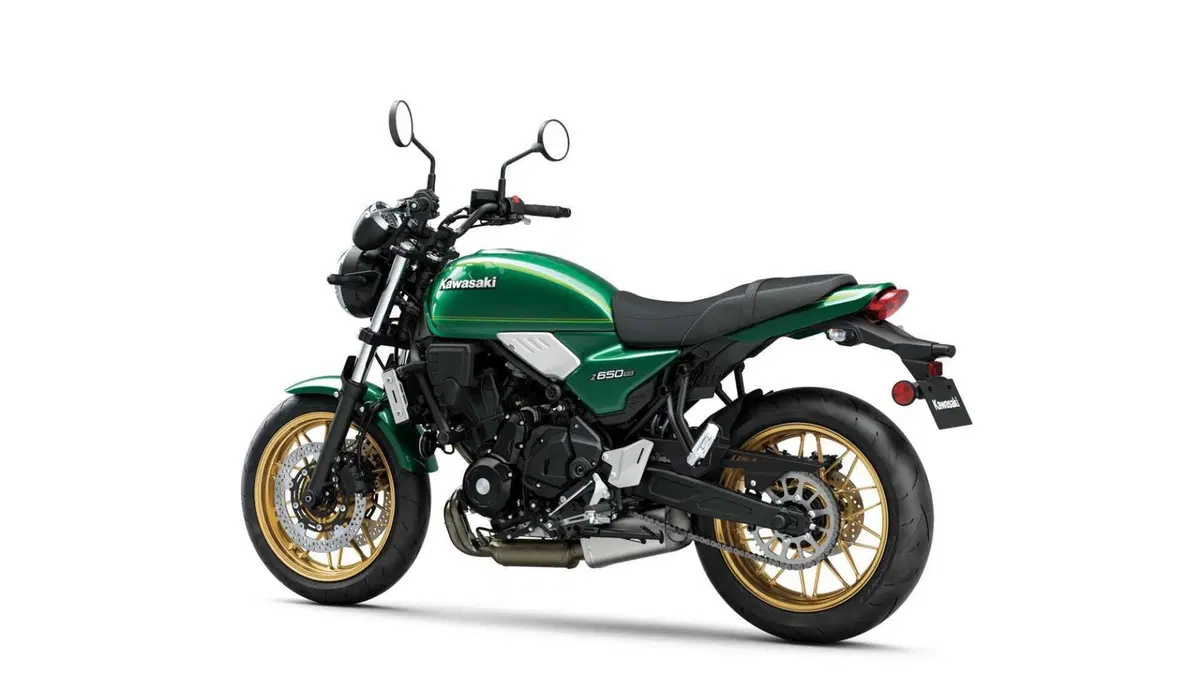 Kawasaki Z 650 RS Z 650 RS (2022 - 24) (9)