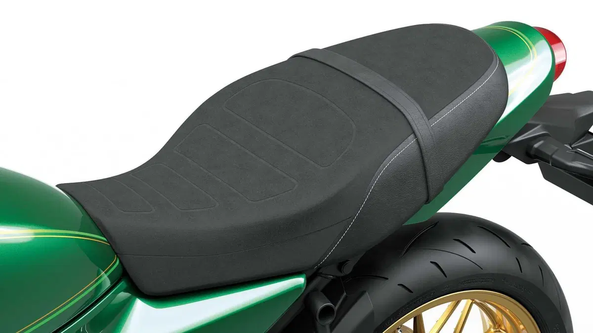 Kawasaki Z 650 RS Z 650 RS (2022 - 24) (14)