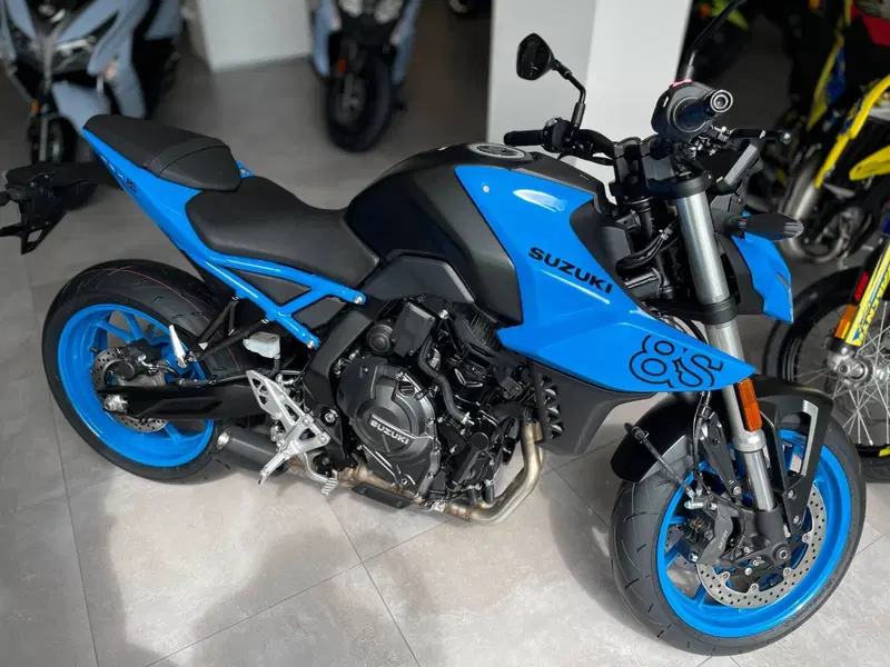 Suzuki GSX-8S (2025 - 26) (11)