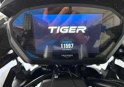 Triumph Tiger 1200 Alpine Edition (2020) usata