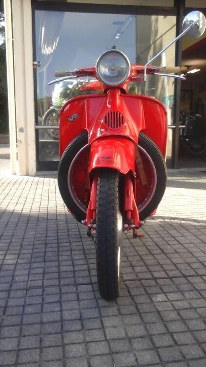 Moto Guzzi Galletto 192  (3)
