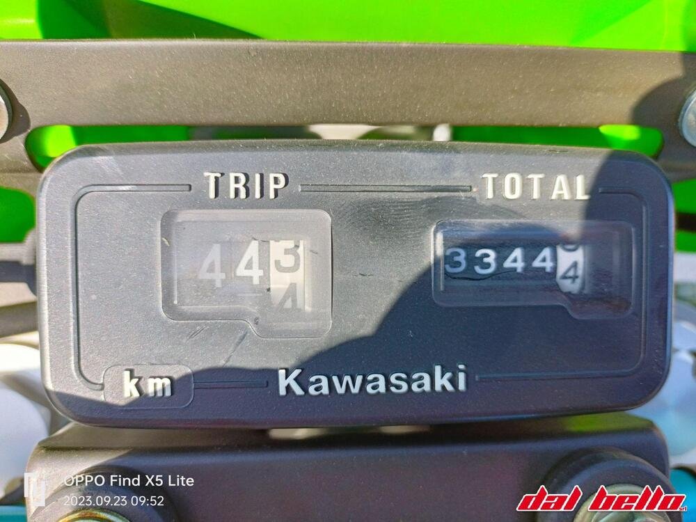 Kawasaki KDX 250 D (4)