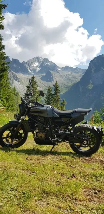 Husqvarna Svartpilen 701 (2019) usata