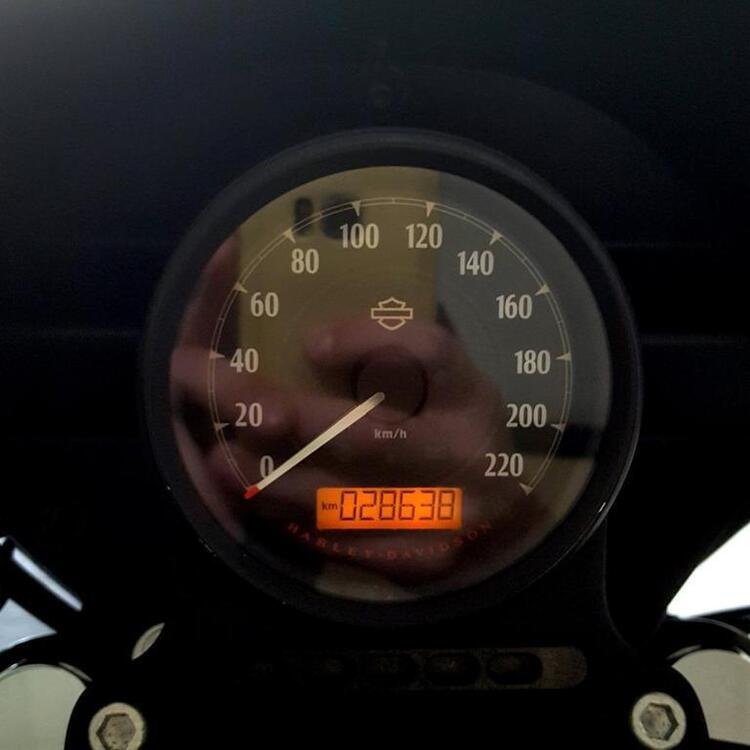 Harley-Davidson 1200 Iron (2018 - 20) - XL1200N (5)