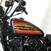 Harley-Davidson 1200 Iron (2018 - 20) - XL1200N (9)