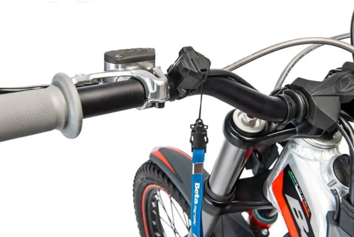 Betamotor Evo 300 SS 2T (2023 - 24) (3)