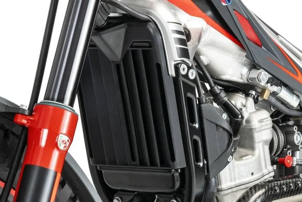 Betamotor Evo 300 SS 2T (2023 - 24) (6)