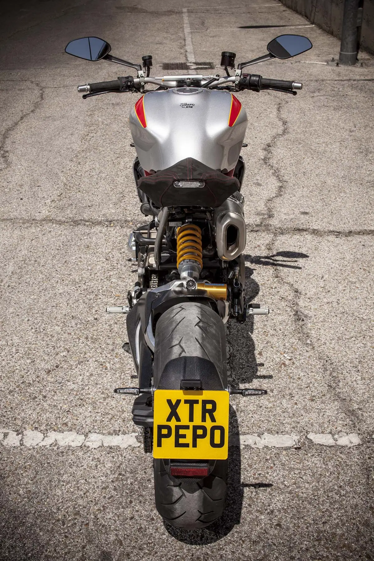 Ducati Monster 1200 S Siluro XTR Pepo (12)