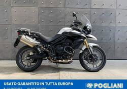 Triumph Tiger 800 (2010 - 14) usata