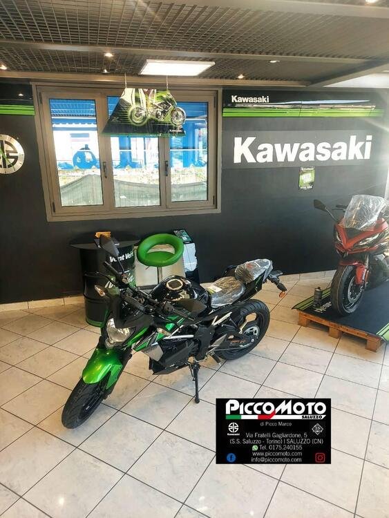 Kawasaki Z 125 (2021 - 24) (3)
