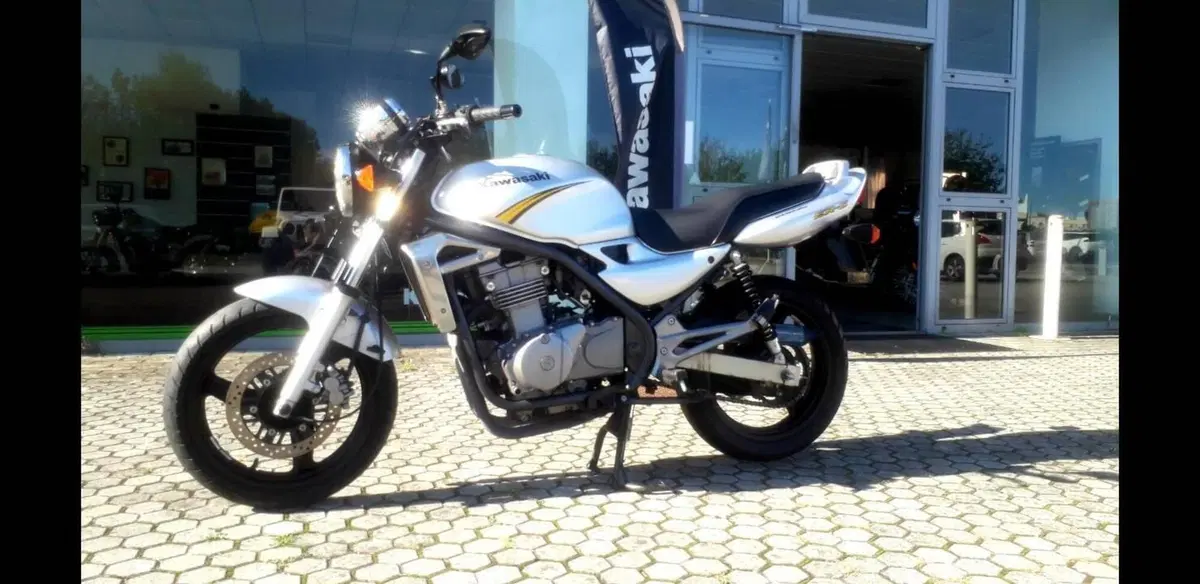 Kawasaki ER-5 500 (2001 - 06)