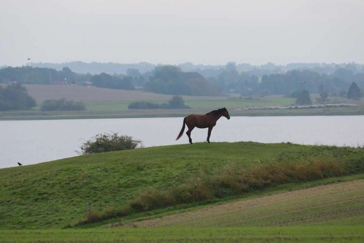 Planet Explorer 16: Denmark Day 5 (5)