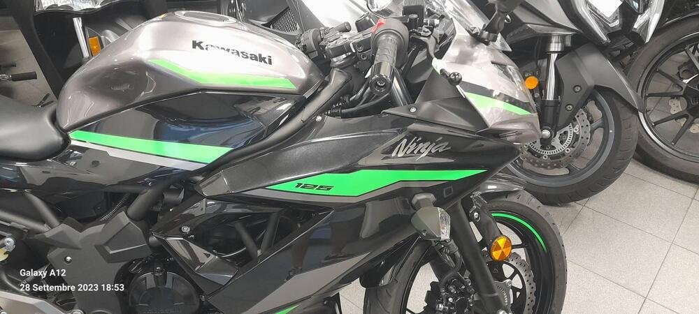 Kawasaki Ninja 125 (2021 - 24) (3)