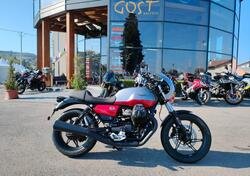 Moto Guzzi V7 Stone Corsa (2023 - 24) nuova