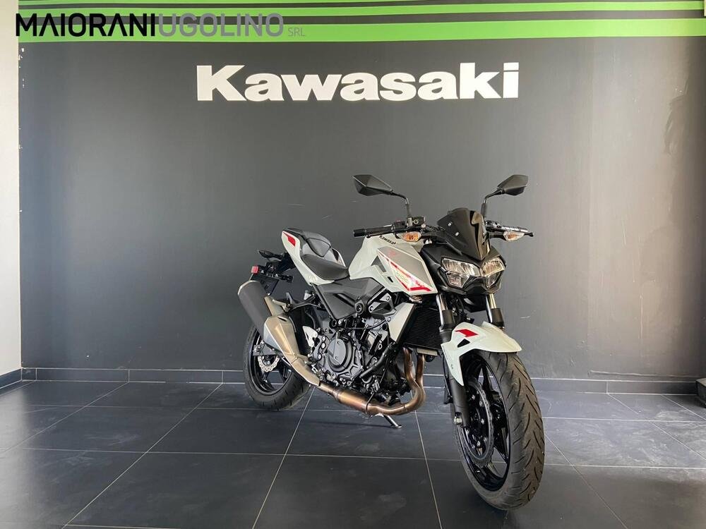 Kawasaki Z 400 (2023) (2)