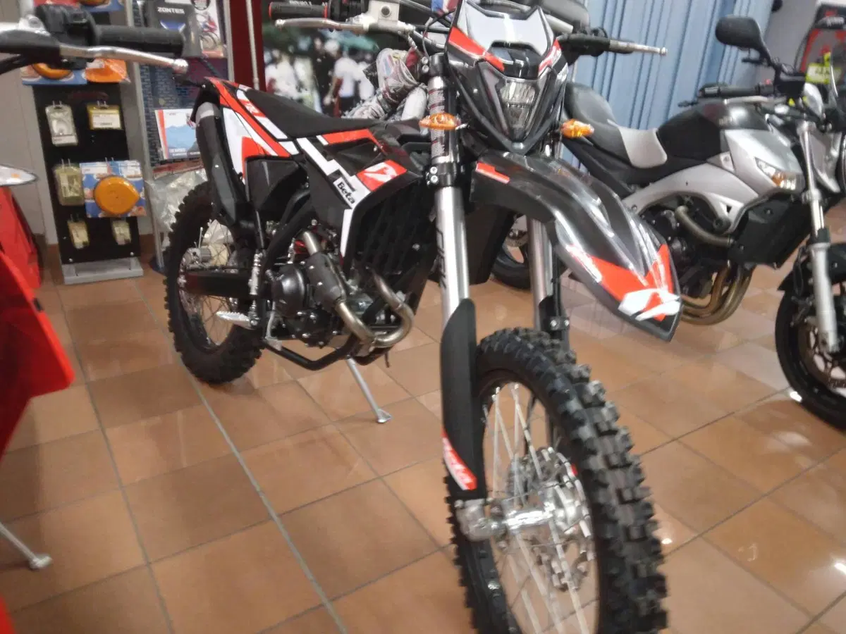Betamotor RR 125 4T Enduro T (2023 - 24) (2)