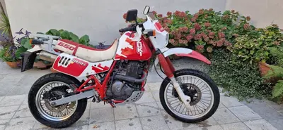 Suzuki DR 650 R (1990 - 91) usata