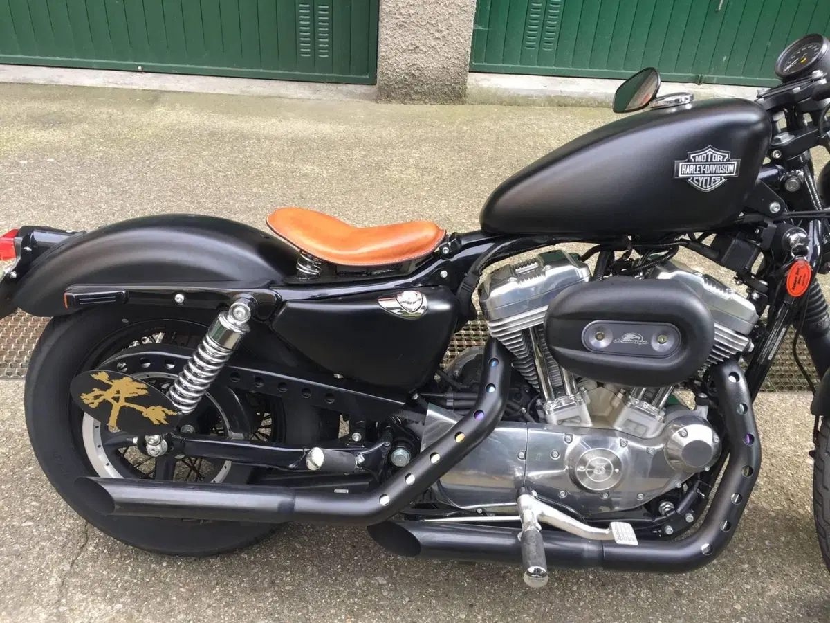 Harley-Davidson 883 (2006 - 07) - XL (2)