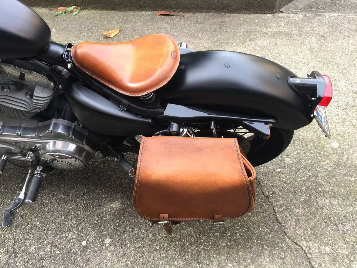 Harley-Davidson 883 (2006 - 07) - XL (3)