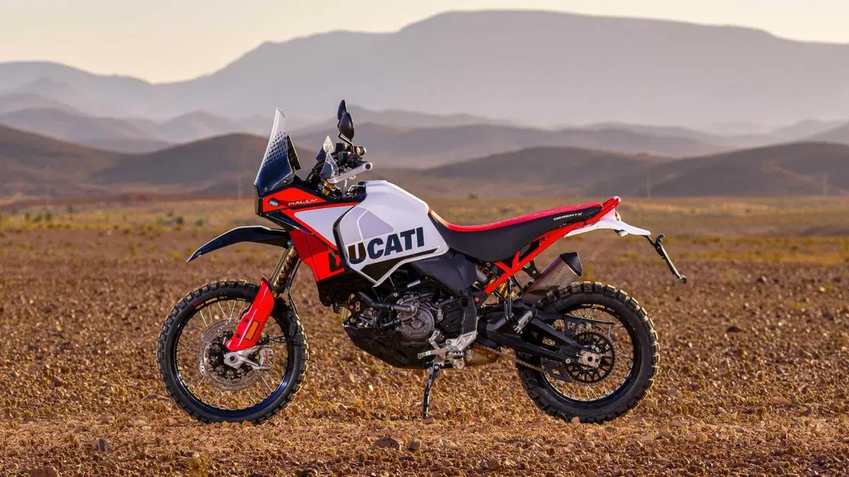 Ducati DesertX DesertX Rally (2024 - 25) (9)