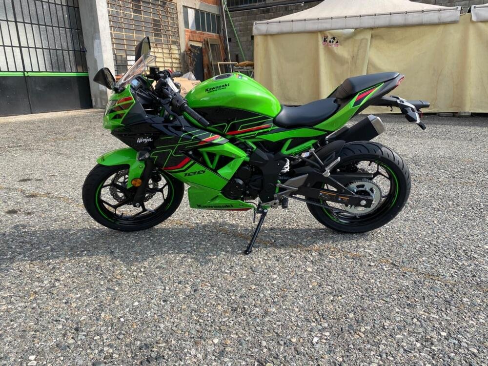 Kawasaki Ninja 125 (2021 - 24) (4)