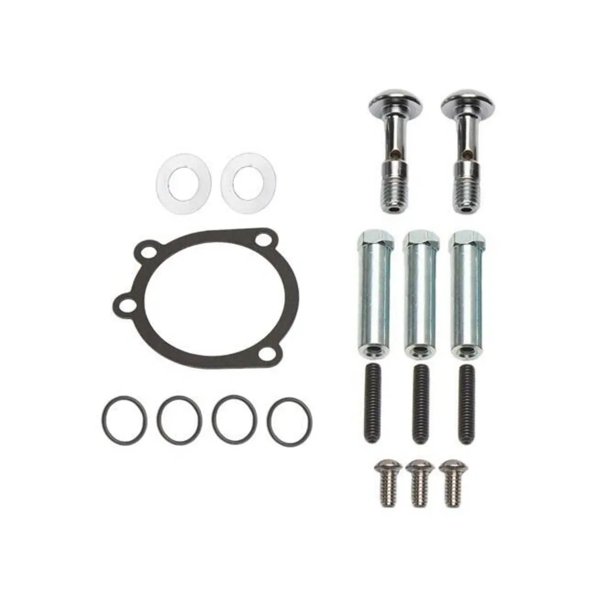 Kit ricambio bulloneria, sfiati e guarnizione del Arlen Ness
