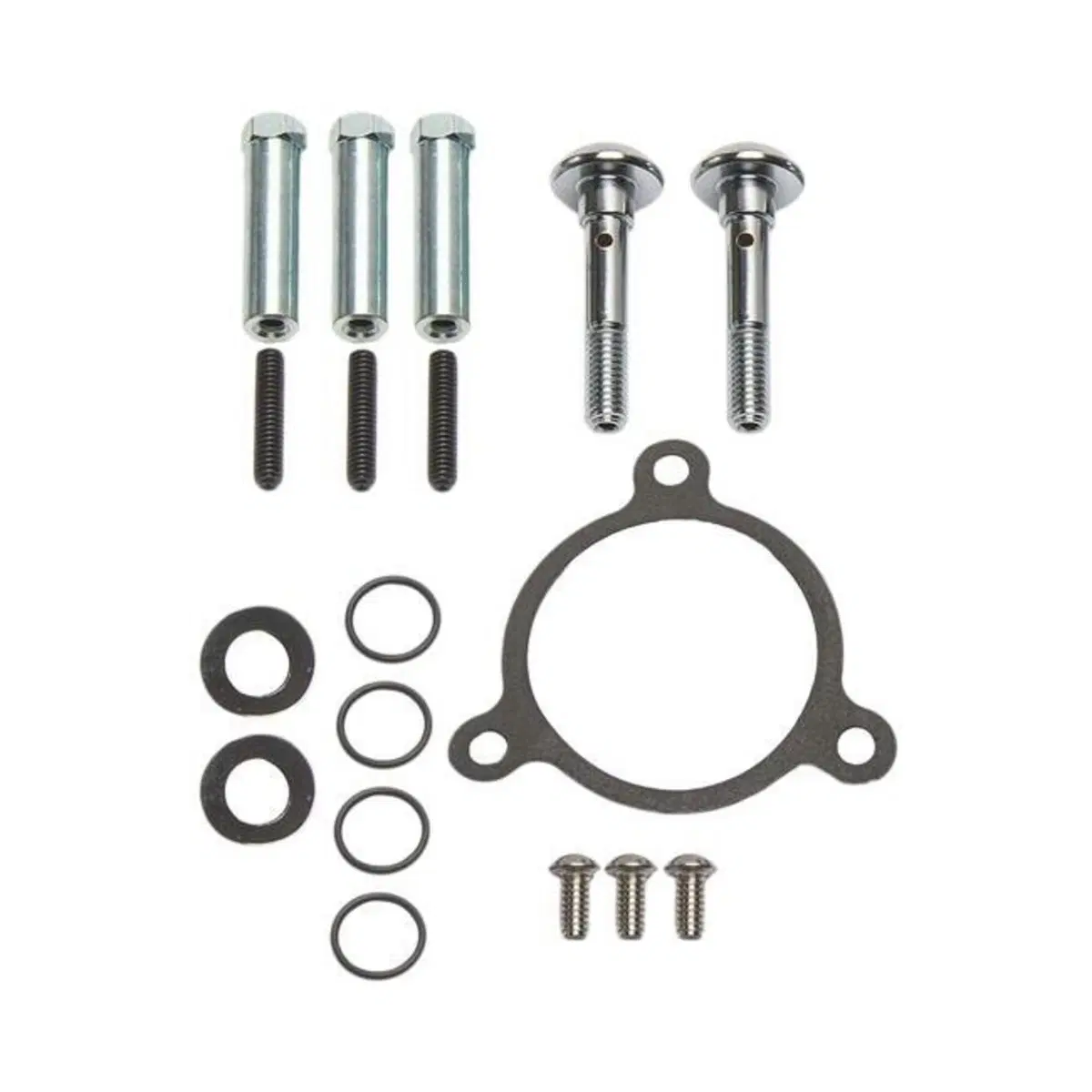 Kit ricambio bulloneria, sfiati e guarnizione del Arlen Ness