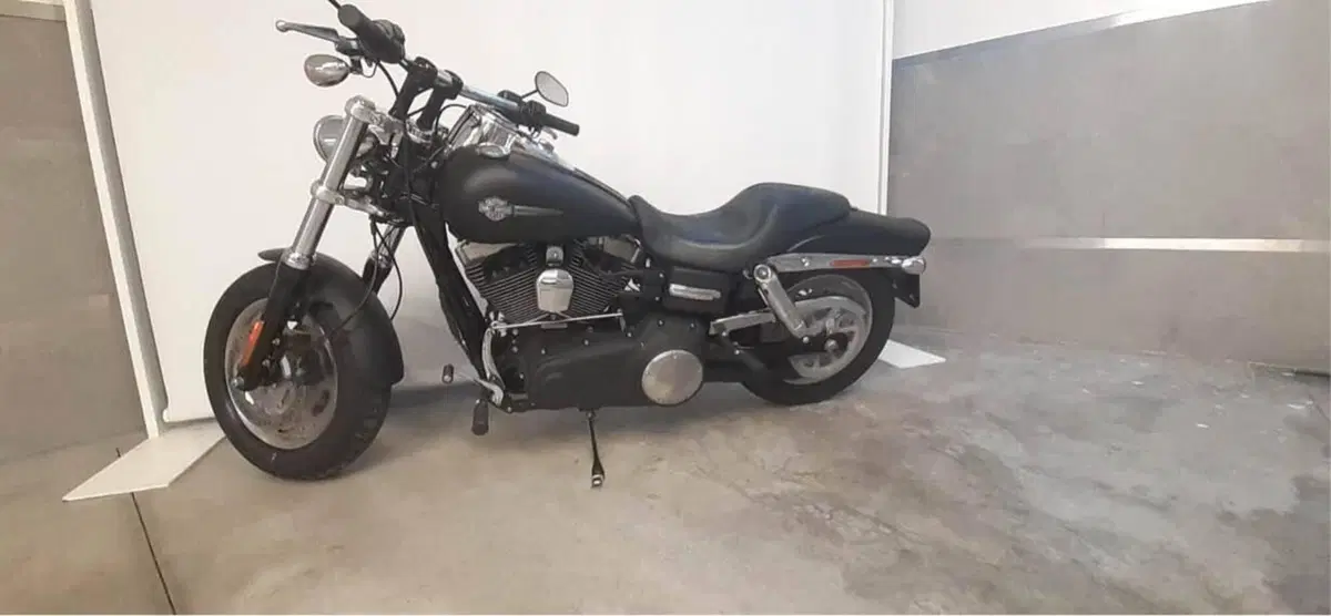 Harley-Davidson 1584 Fat Bob (2007 - 13) - FXDF (3)