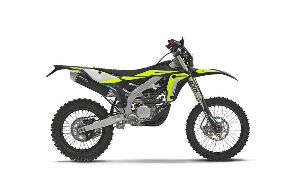 Fantic Motor XEF 250 XEF 250 Black Edition (2024) (2)