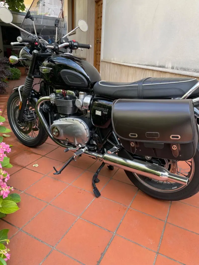 Triumph Bonneville T120 (2016 - 20) (9)