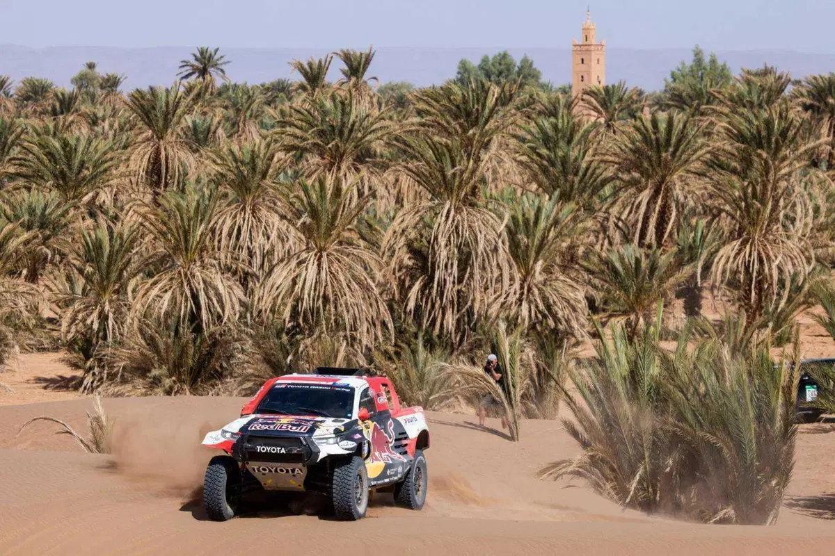 Rally-Raid. Marocco D2. Al Attiyah, Toyota, Campione del Mondo. A Schareina, Honda, la 2a delle Moto (13)